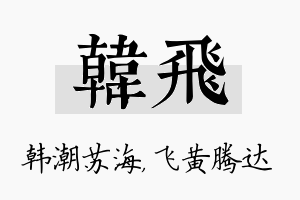 韩飞名字的寓意及含义