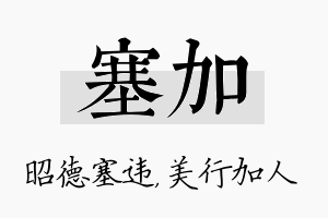 塞加名字的寓意及含义