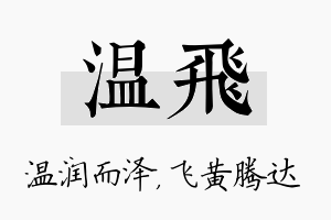 温飞名字的寓意及含义