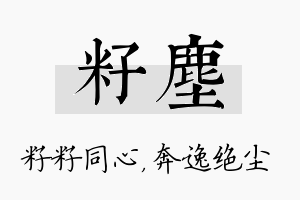 籽尘名字的寓意及含义