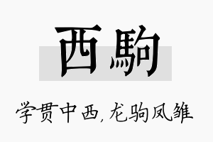 西驹名字的寓意及含义