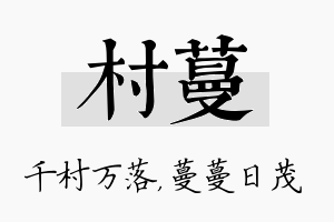 村蔓名字的寓意及含义