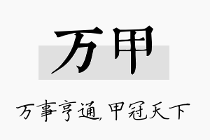 万甲名字的寓意及含义