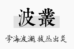 波丛名字的寓意及含义