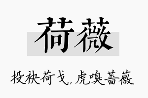 荷薇名字的寓意及含义