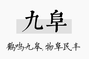 九阜名字的寓意及含义