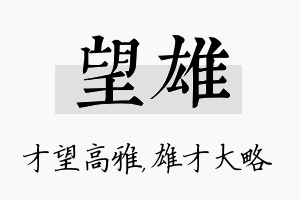 望雄名字的寓意及含义