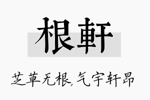 根轩名字的寓意及含义