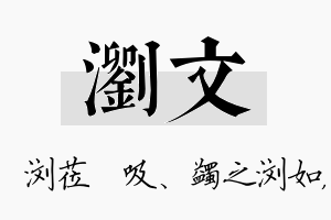 浏文名字的寓意及含义