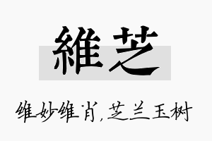 维芝名字的寓意及含义