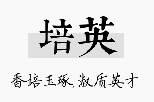 培英名字的寓意及含义