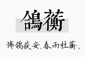 鸽蘅名字的寓意及含义