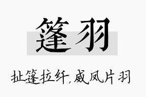 篷羽名字的寓意及含义