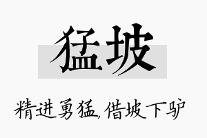 猛坡名字的寓意及含义