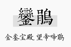 銮鹃名字的寓意及含义