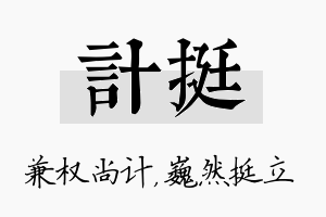 计挺名字的寓意及含义