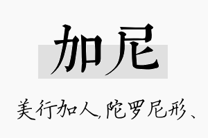 加尼名字的寓意及含义