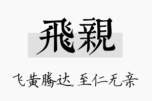 飞亲名字的寓意及含义