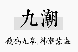 九潮名字的寓意及含义