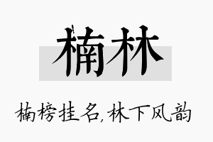 楠林名字的寓意及含义