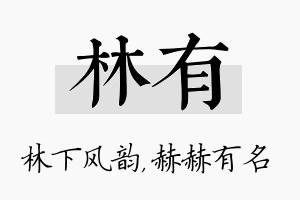 林有名字的寓意及含义