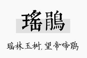 瑶鹃名字的寓意及含义