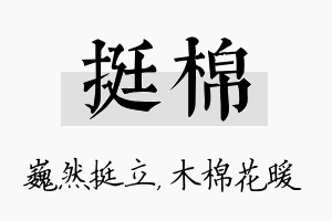 挺棉名字的寓意及含义