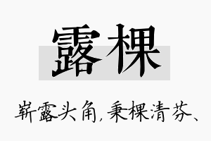 露棵名字的寓意及含义