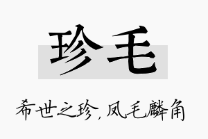 珍毛名字的寓意及含义