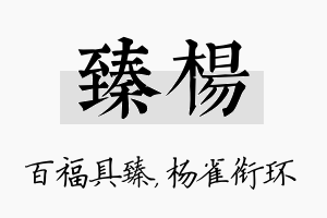 臻杨名字的寓意及含义