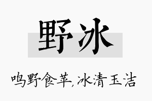 野冰名字的寓意及含义