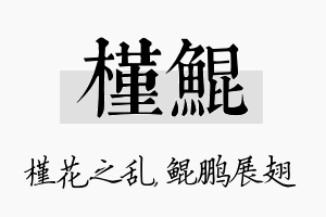 槿鲲名字的寓意及含义