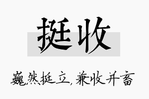 挺收名字的寓意及含义