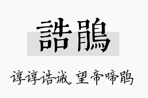 诰鹃名字的寓意及含义