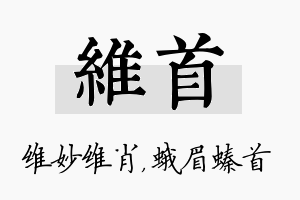 维首名字的寓意及含义