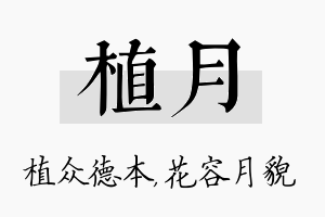 植月名字的寓意及含义