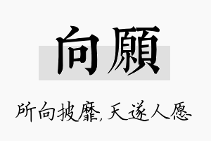 向愿名字的寓意及含义