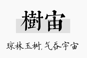 树宙名字的寓意及含义