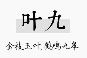 叶九名字的寓意及含义