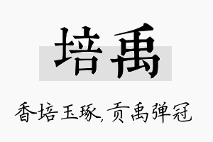 培禹名字的寓意及含义