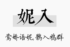 妮入名字的寓意及含义