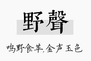 野声名字的寓意及含义