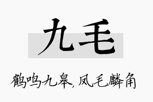 九毛名字的寓意及含义