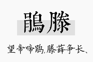 鹃滕名字的寓意及含义