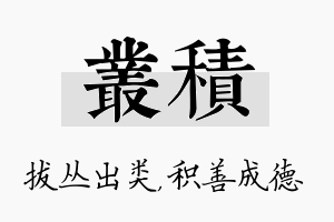 丛积名字的寓意及含义