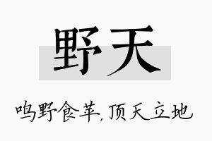 野天名字的寓意及含义