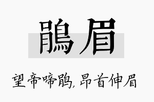 鹃眉名字的寓意及含义