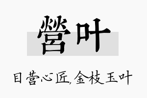 营叶名字的寓意及含义