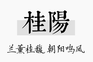 桂阳名字的寓意及含义