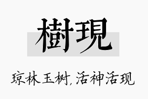 树现名字的寓意及含义